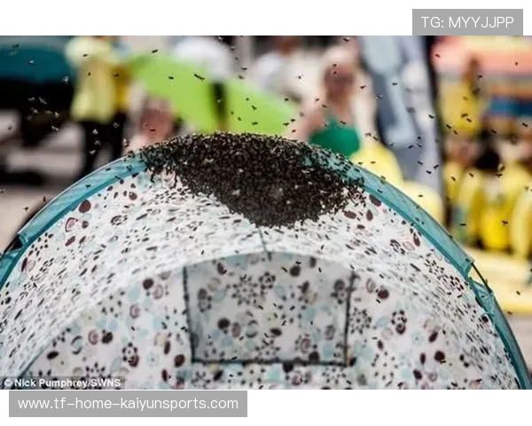 运动员比赛时被蜜蜂围攻!全场混乱 运动员比赛时被蜜蜂围攻!全场混乱